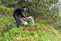 土壤養(yǎng)分檢測儀檢測造成土壤肥力流失的因素