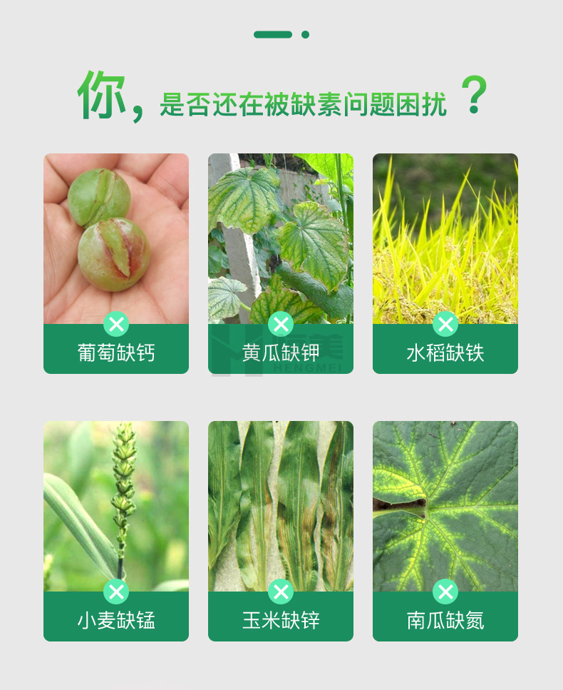 三合一土壤檢測儀