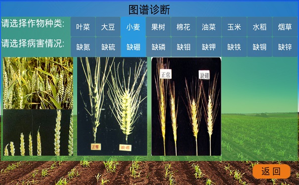 化肥檢測儀